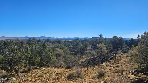 Tiny photo for 4 County Road, Concho, AZ 85924 (MLS # 258524)