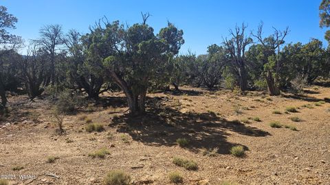 Tiny photo for 4 County Road, Concho, AZ 85924 (MLS # 258524)