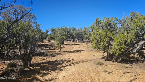 Tiny photo for 4 County Road, Concho, AZ 85924 (MLS # 258524)