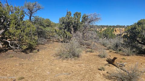 Tiny photo for 4 County Road, Concho, AZ 85924 (MLS # 258524)