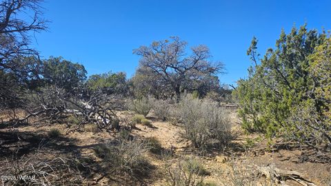 Tiny photo for 4 County Road, Concho, AZ 85924 (MLS # 258524)