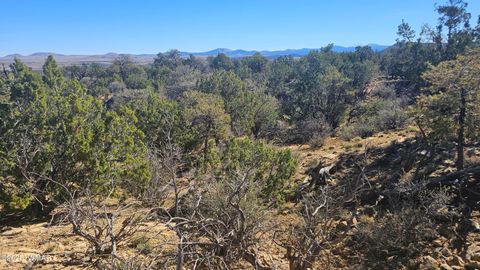 Tiny photo for 4 County Road, Concho, AZ 85924 (MLS # 258524)