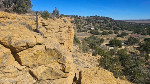 Tiny photo for 4 County Road, Concho, AZ 85924 (MLS # 258524)