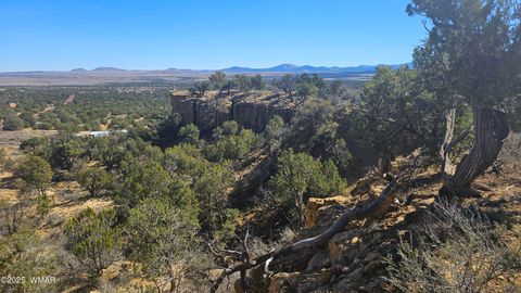 Tiny photo for 4 County Road, Concho, AZ 85924 (MLS # 258524)