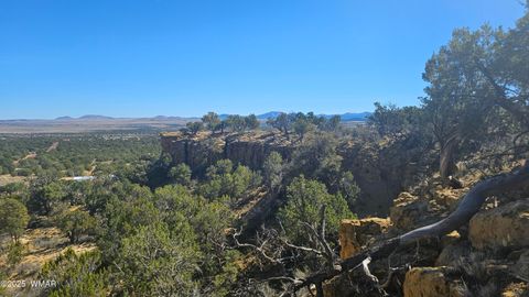 Tiny photo for 4 County Road, Concho, AZ 85924 (MLS # 258524)