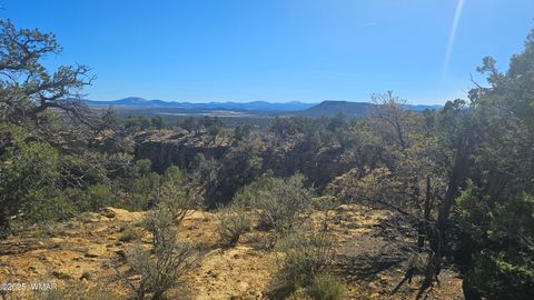 Tiny photo for 4 County Road, Concho, AZ 85924 (MLS # 258524)