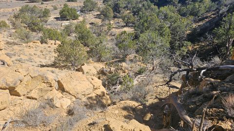 Tiny photo for 4 County Road, Concho, AZ 85924 (MLS # 258524)