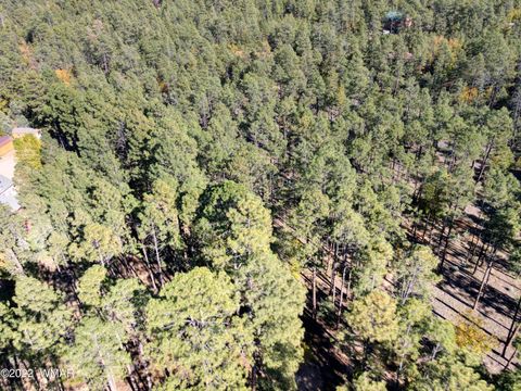 Tiny photo for 040E VALLERY Lane, Lakeside, AZ 85929 (MLS # 257766)