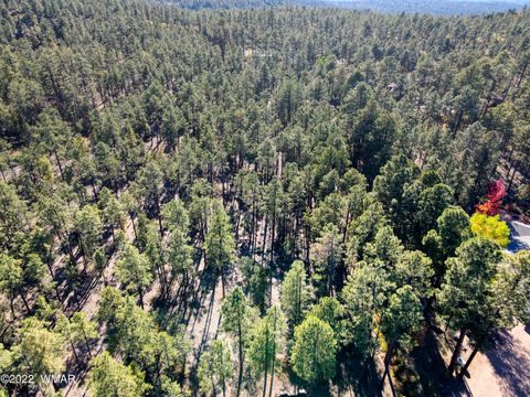 Tiny photo for 040E VALLERY Lane, Lakeside, AZ 85929 (MLS # 257766)