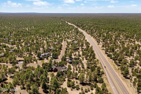 Tiny photo for 1464 Low Mountain Trail, Heber, AZ 85928 (MLS # 256183)