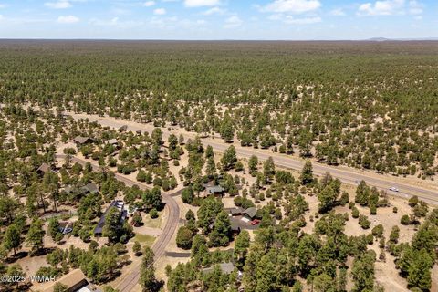 Tiny photo for 1464 Low Mountain Trail, Heber, AZ 85928 (MLS # 256183)
