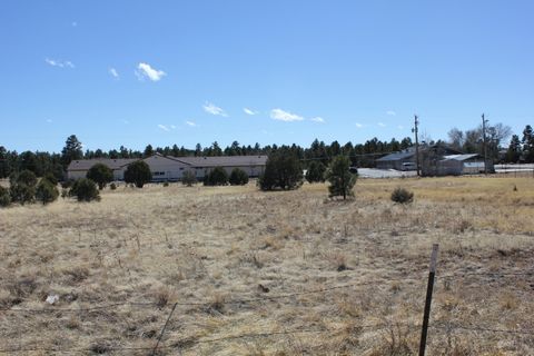 Tiny photo for 160R E Hunt Drive, Show Low, AZ 85901 (MLS # 218373)