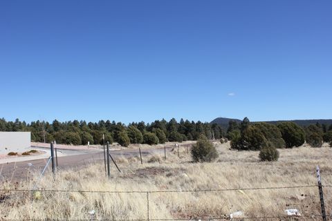 Photo of 160R E Hunt Drive, Show Low, AZ 85901 (MLS # 218373)