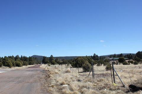 Tiny photo for 160R E Hunt Drive, Show Low, AZ 85901 (MLS # 218373)