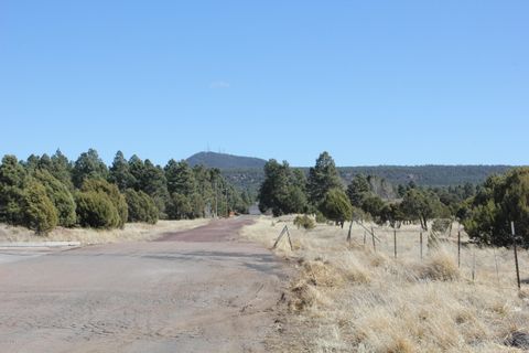 Tiny photo for 160R E Hunt Drive, Show Low, AZ 85901 (MLS # 218373)