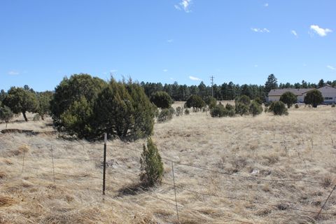 Tiny photo for 160R E Hunt Drive, Show Low, AZ 85901 (MLS # 218373)