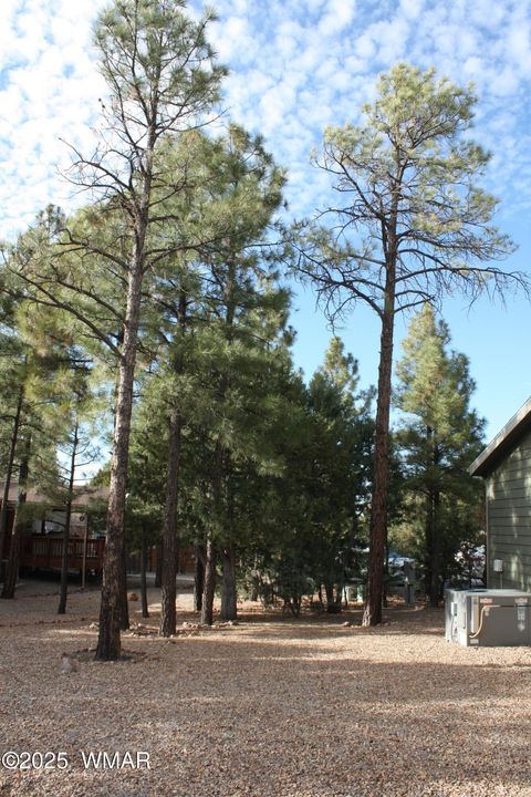 Tiny photo for 1260 S Deer Lane, Show Low, AZ 85901 (MLS # 258818)