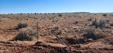 Tiny photo for 496 CR 5152, Concho, AZ 85924 (MLS # 259393)
