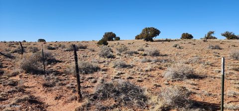 Tiny photo for 496 CR 5152, Concho, AZ 85924 (MLS # 259393)