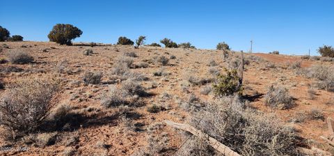 Tiny photo for 496 CR 5152, Concho, AZ 85924 (MLS # 259393)