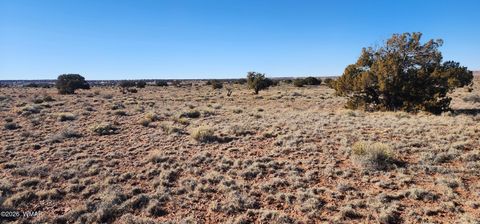 Tiny photo for 496 CR 5152, Concho, AZ 85924 (MLS # 259393)