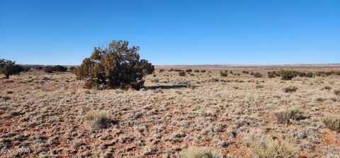 Tiny photo for 496 CR 5152, Concho, AZ 85924 (MLS # 259393)