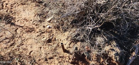 Tiny photo for 496 CR 5152, Concho, AZ 85924 (MLS # 259393)