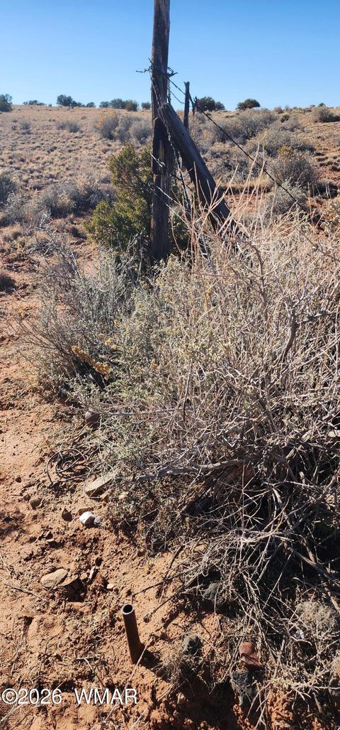 Tiny photo for 496 CR 5152, Concho, AZ 85924 (MLS # 259393)