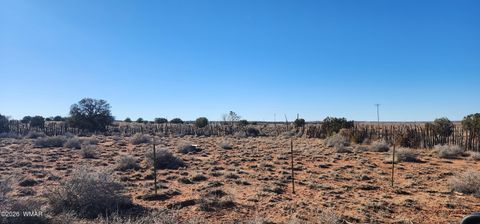 Tiny photo for 496 CR 5152, Concho, AZ 85924 (MLS # 259393)