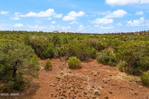 Tiny photo for 3 N3139, Vernon, AZ 85940 (MLS # 258037)