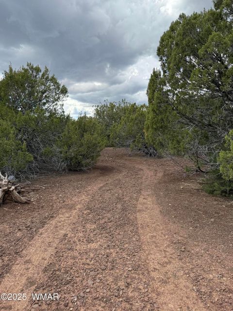 Tiny photo for 3 N3139, Vernon, AZ 85940 (MLS # 258037)