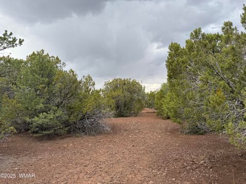 Tiny photo for 3 N3139, Vernon, AZ 85940 (MLS # 258037)