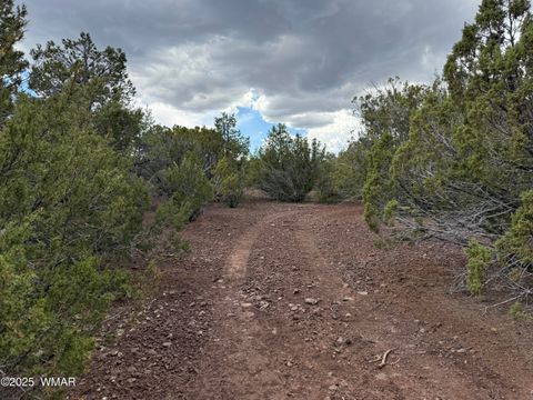 Tiny photo for 3 N3139, Vernon, AZ 85940 (MLS # 258037)