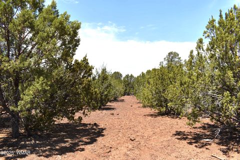Tiny photo for 3 N3139, Vernon, AZ 85940 (MLS # 258037)