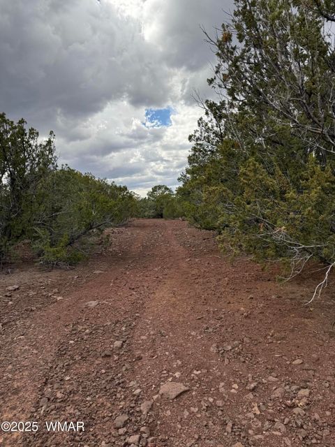 Tiny photo for 3 N3139, Vernon, AZ 85940 (MLS # 258037)