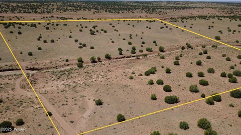 Tiny photo for TBD Ranch of the White Mountains, Concho, AZ 85924 (MLS # 257118)