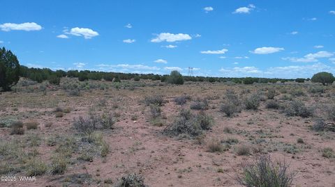 Tiny photo for TBD Ranch of the White Mountains, Concho, AZ 85924 (MLS # 257118)