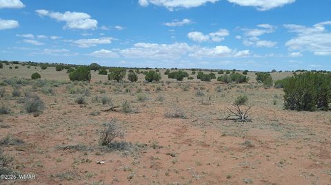 Tiny photo for TBD Ranch of the White Mountains, Concho, AZ 85924 (MLS # 257118)