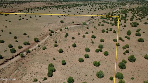 Tiny photo for TBD Ranch of the White Mountains, Concho, AZ 85924 (MLS # 257118)