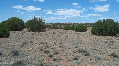 Tiny photo for TBD Ranch of the White Mountains, Concho, AZ 85924 (MLS # 257118)