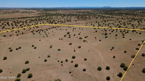Tiny photo for TBD Ranch of the White Mountains, Concho, AZ 85924 (MLS # 257118)