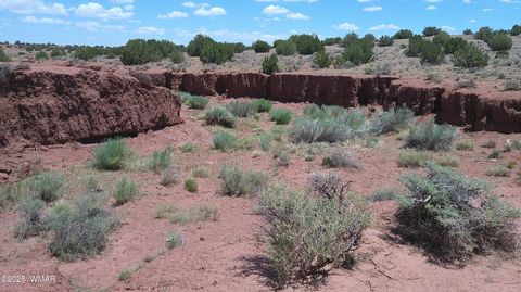 Tiny photo for TBD Ranch of the White Mountains, Concho, AZ 85924 (MLS # 257118)