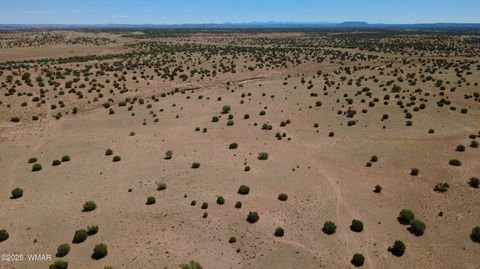 Tiny photo for TBD Ranch of the White Mountains, Concho, AZ 85924 (MLS # 257118)