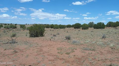 Tiny photo for TBD Ranch of the White Mountains, Concho, AZ 85924 (MLS # 257118)