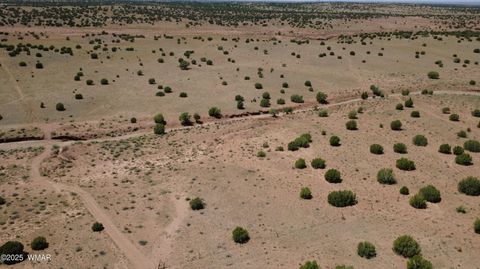 Tiny photo for TBD Ranch of the White Mountains, Concho, AZ 85924 (MLS # 257118)
