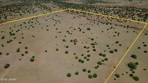 Tiny photo for TBD Ranch of the White Mountains, Concho, AZ 85924 (MLS # 257118)