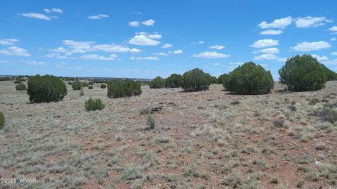 Tiny photo for TBD Ranch of the White Mountains, Concho, AZ 85924 (MLS # 257118)
