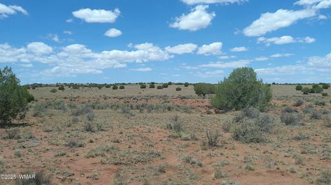 Tiny photo for TBD Ranch of the White Mountains, Concho, AZ 85924 (MLS # 257118)