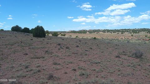 Tiny photo for TBD Ranch of the White Mountains, Concho, AZ 85924 (MLS # 257118)