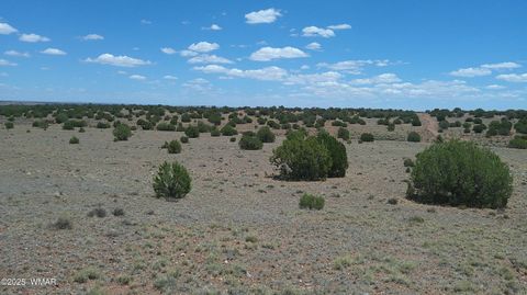 Photo of TBD Ranch of the White Mountains, Concho, AZ 85924 (MLS # 257118)
